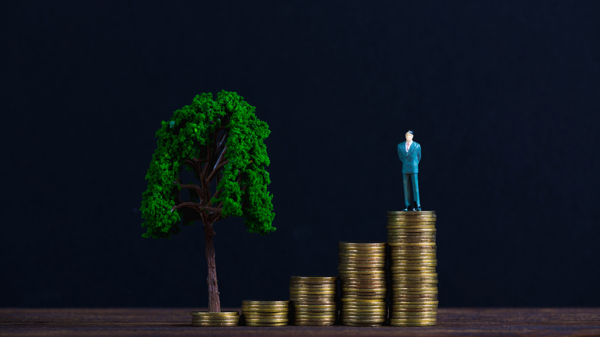 Wealth Management